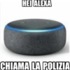 Bolis non fottermi gli sticker, Coglione 18