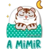 Eli&Javi(UD)
A MIMIR