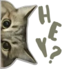 H
E