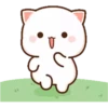 MOCHICAT#11 MOV 17