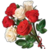 Rosas ❤🌹 20