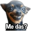 Perritos XD 12