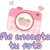 Lotso Cute 15