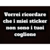Bolis non fottermi gli sticker, Coglione 23