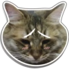 ////
