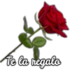 Rosas ❤🌹 23