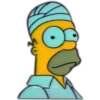 Los Simpson 24