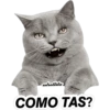 estrellita
COMO TAS?