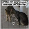 gracias por estar conmigo
y sacarme una sonrisa <3