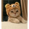 sweet meme cats 22
