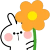 Rabbit Smile ᥫ᭡ Clásica 16