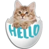 HELLO