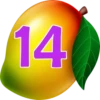 Mango 1-30 Tambola Numbers 25