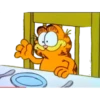 Garfield 1 17
