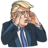 Mr. Trump 28