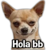 Perritos XD 16
