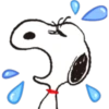 Snoopy 27