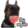Perritos XD 17