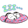 Snoopy 29