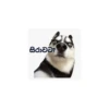 sinhala memes 2021 16