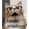 haaaa
anladım