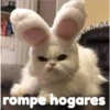 Gatitos    1 27