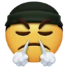 Emojis Facheritos3 28