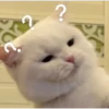 Gatitos    1 28