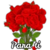 Rosas ❤🌹 30