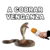 Animales Entrevistados 30