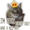 I'M BUSY YOURE UGLY.
HAVE A NICE DAY