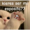 Gatitos    1 30