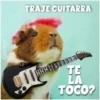 Guinea Chat 🐹 6