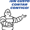 Michelin Contigo 5