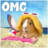 Guinea Chat 🐹 8