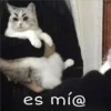 Gatitos 4 5