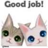 🐱🐾Cat Talk English🐾🐱 6