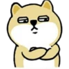 Tierno enojado 6