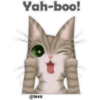 🐱🐾Cat Talk English🐾🐱 8