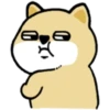 Tierno enojado 8