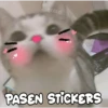 Gatitos 4 10