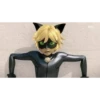 Miraculous Expressions 5