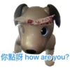Ai-aibo 5