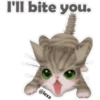 🐱🐾Cat Talk English🐾🐱 11