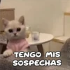 Gatitos 4 12