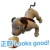 Ai-aibo 7