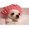 Perritos 8