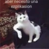 jajajajsjjaja 13 7