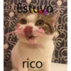 Gatitos Stikers 6
