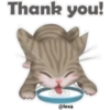 🐱🐾Cat Talk English🐾🐱 13